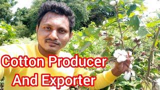 Cotton Producer & Exporters in India l NIHAR EXIM I Global Business l International business l