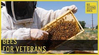 How Bees Help Veterans Heal // 60 Second Docs