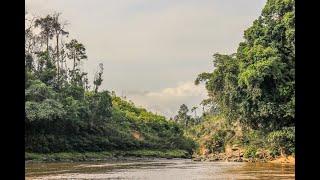 The Magic of Central Borneo