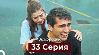 Зимородок 33 Cерия (Русский дубляж)