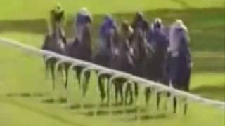 At The Races - Derek and Clive   Peter Cook   Dudley Moore   Horse Racing (with streaker)_xvid.mp4