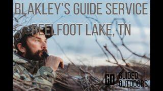 REELFOOT LAKE DUCK HUNTING WITH BLAKLEY'S GUIDE SERVICE