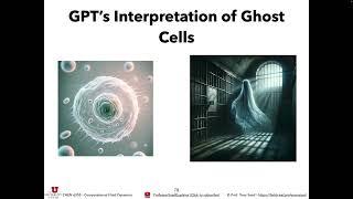 uCFD 2024 - Lecture 4: Finite Difference Methods for Advection Diffusion Equations Part 3