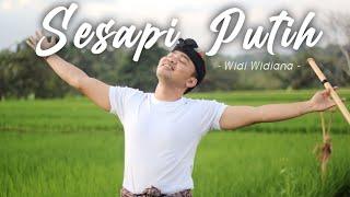 Sesapi Putih - Widi Widiana | Suling Bali Cover by Juni Ardika