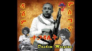 Dashim Mesgina - ተጋዳሊት | Eritrean Music ( Official Audio)