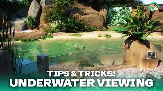 BETTER Underwater Viewings - 5 Tips & Tricks in Planet Zoo