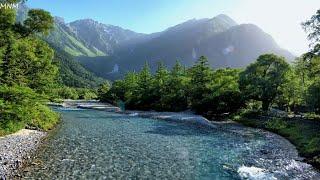 Beautiful Azusa River, Japan. Majestic Birdsong, Relaxing River Sound, ASMR