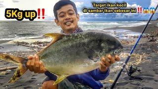 SHEARING...!!! FIRST TIME FISHING AT THE BEACH ATTRACTING FISH THIS BIG - SURF FISHING‼️