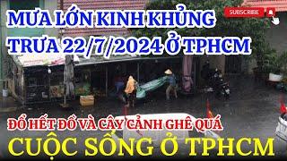 ĐỔ ĐỒ TÙM LUM GHÊ QUÁ Mưa Lớn Kinh Khủng Ở TPHCM | Thiện Học