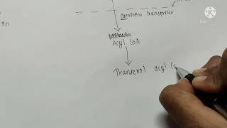 BETA OXIDATION OF FATTYACID IN 5 MIN (EASY )