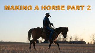 Making a Horse (Part 2) | Rest, Recovery, Warming Back Up