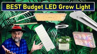 BEST Budget LED Grow Light for Under $50