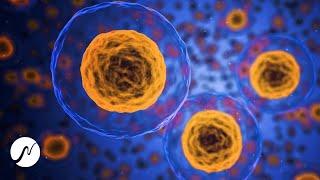 Cell Regeneration - Rejuvenation & Healing (Healing Meditation For Activating Cell Growth)