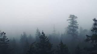 Stunning Foggy Views • Electronic Music