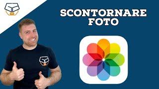 Come scontornare una foto su iPhone (togliere lo sfondo) [Novità di iOS 16]