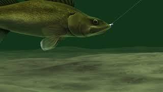 Quick Easy Way to Increase Fish Bite while Trolling.