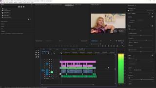 Premiere Pro - Adding and Adjusting Audio Layers