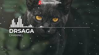 DRSAGA-Fun (Happy Music) | No Copyright Music