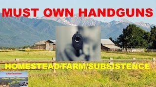 MUST OWN HANDGUNS for Homestead/Farm/Subsistence