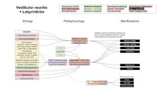 Vestibular neuritis + Labyrinthitis (mechanism of disease)