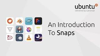An Introduction To Snaps