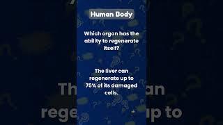 Human Body - Mind Blowing Fact #shorts