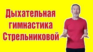 Дыхательная гимнастика Стрельниковой. Полный базовый курс