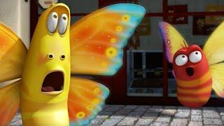 LARVA - THE BUTTERFLY | 2017 Cartoon | Videos For Kids | Kids TV Shows Full Episodes