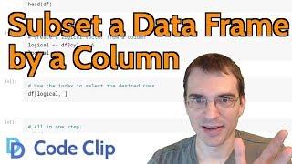 How to Subset a Data Frame by a Column in R