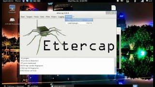 kali linux : Ddos Attack Using Ettercap