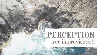 PERCEPTION - free experimental improvisation