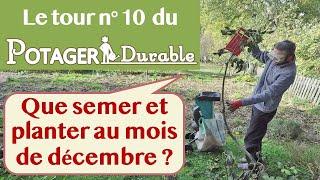 Que semer et planter au mois de décembre au potager ?