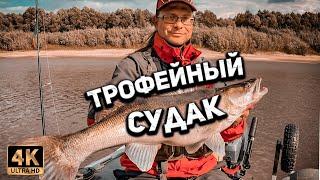 Побил свой РЕКОРД! Дерзкая ПОКЛЁВКА, огромный СУДАК! Рыбалка в Тюмени на спиннинг осенью 2021 года.