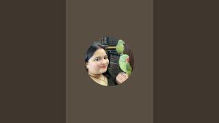 Sonali Parrot is live