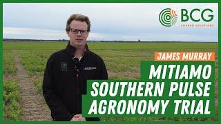 BCG Mitiamo Southern Pulse Agronomy Trial Site - 2021