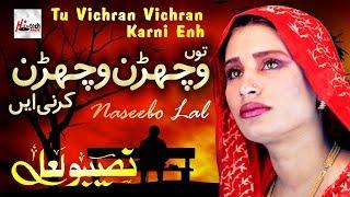 Tu Vichran Vichran Karni - Best of Naseebo Lal - HI-TECH MUSIC