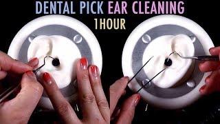 ASMR. 1 Hour of Ear Cleaning w/Dental Pick & Tweezers (No Talking)