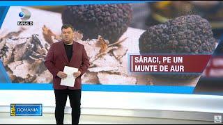 Asta-i Romania (06.02.2022) - SARACI PE UN MUNTE DE AUR: "UN FEL DE RIDICHI, CEVA DE GENUL..."