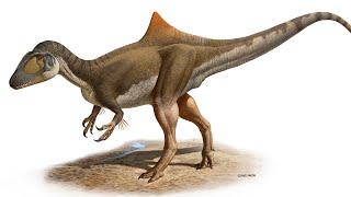 Concavenator: The Hump-Backed Spanish Dinosaur
