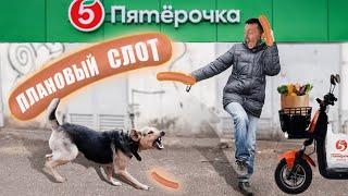 Плановый слот «Х5 Пятёрочка» #работа #курьер #х5 #яндекс #доставка