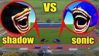 DRONE CATCHES SHIN SONIC TAPES VS SHADOW IN REAL LIFE !!