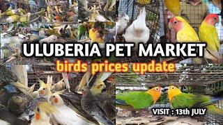 ULUBERIA PET MARKET BIRD'S PRICES UPDATE ON 13th JULY.#uluberia_pet_market #cheapestprice #viral