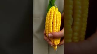 CornHub