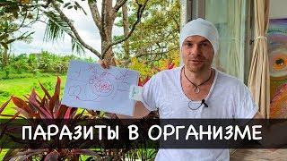 "ПАРАЗИТЫ В ОРГАНИЗМЕ" как избавиться от паразитов навсегда? Убойное средство от паразитов