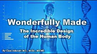 Wonderfully Made: The Incredible Design of the Human Body