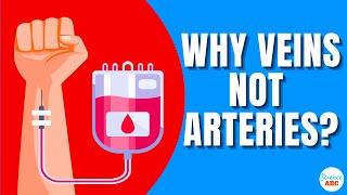 Why Is Blood Drawn From Veins And Not From Arteries?