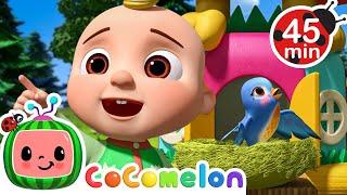 Hickory Dickory Dock! Sing Little Birdie!  | Cocomelon Animal Time - Nursery Rhymes