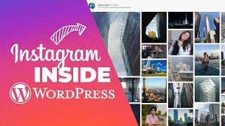 How to Add Instagram Feed to Your WordPress Website with Social Feed Gallery