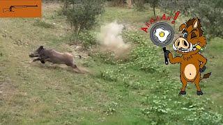 PADELLE CLAMOROSE in CACCIA al CINGHIALE in BRACCATA _ EPIC FAILS COMPILATION