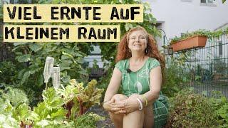 Gemüse mitten in der Großstadt anbauen und viel Ernten. Selbstversorgung und Urban Gardening in Köln